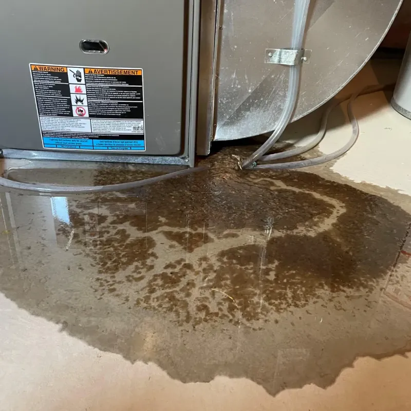 Appliance Leak Cleanup in Mayfield, KY