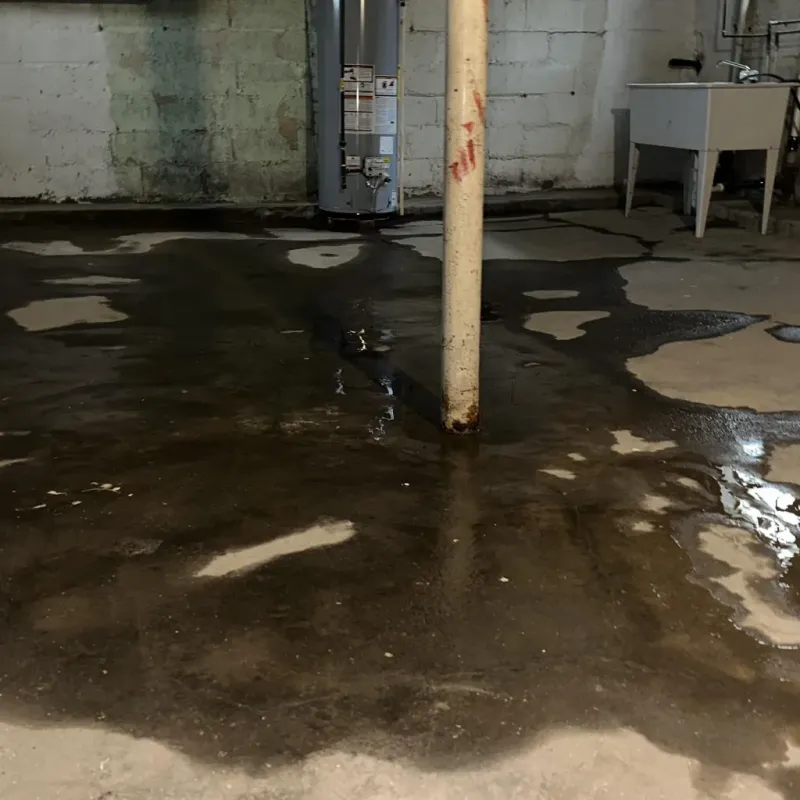 Emergency Water Extraction And Removal in Mayfield, KY